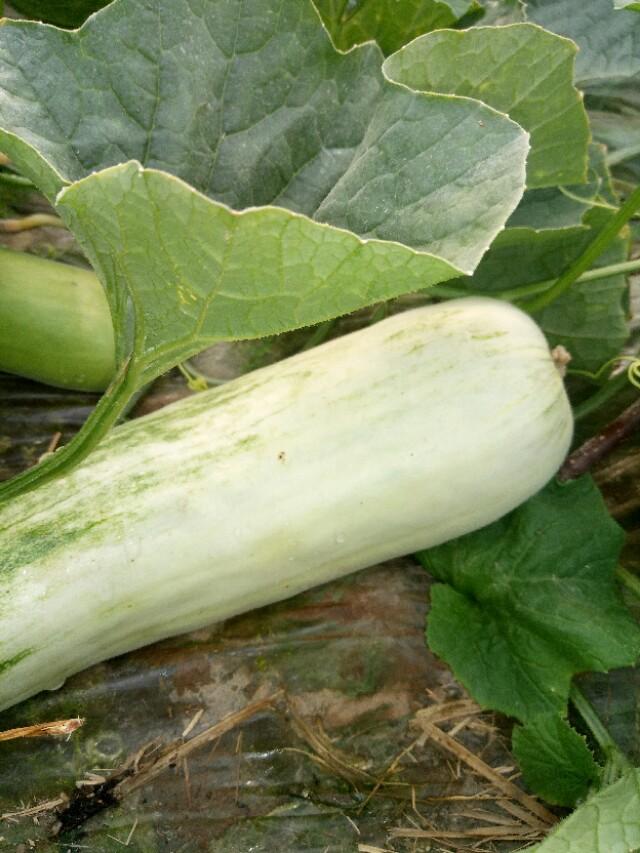 潍坊网站建设全攻略：轻松打造专业官网，提升品牌形象与业务增长