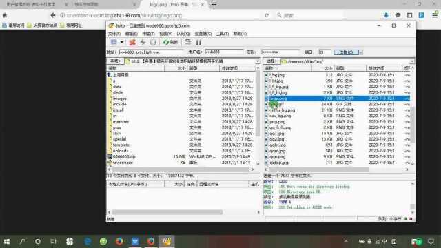 盛世网站使用教程：10分钟快速上手，解决新手操作难题