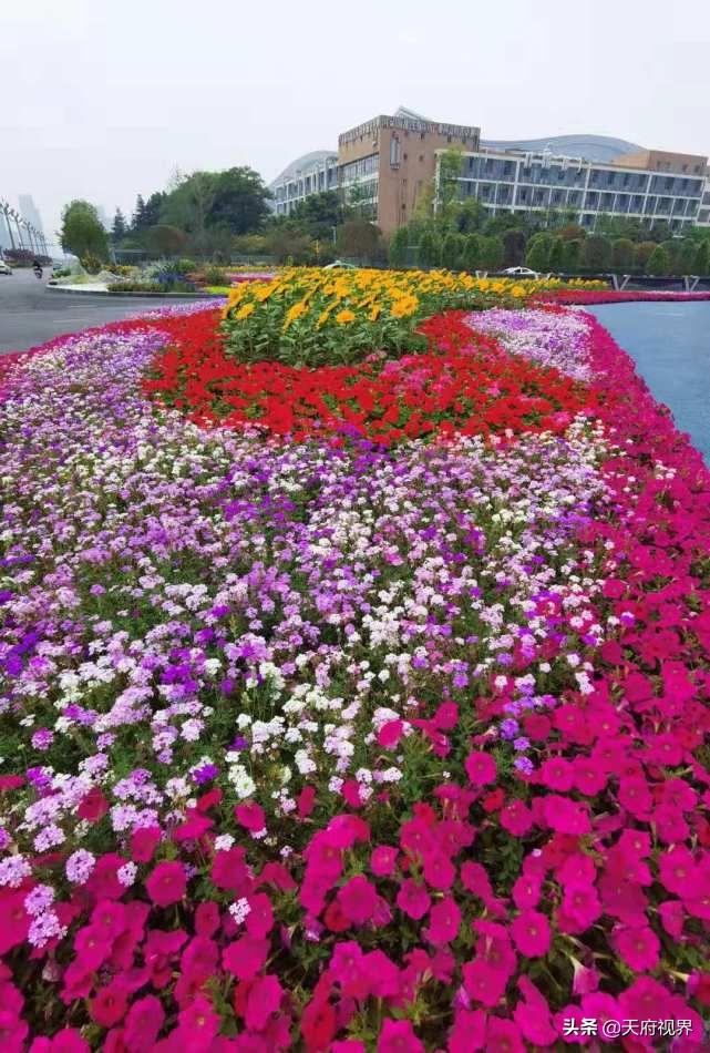 专题页设计终极指南：打造高转化沉浸式体验的7大核心策略