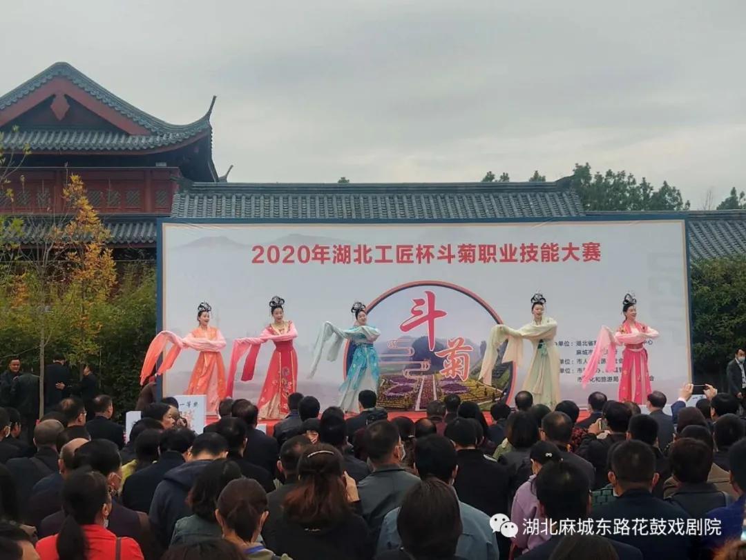 麻城市在线学习平台：一站式终身学习伴侣，职业技能提升与生活兴趣培养轻松搞定