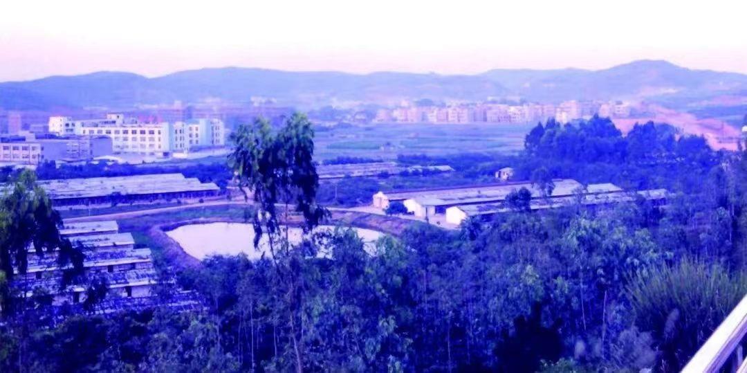 龙岗网络推广全攻略：制造业出海获客与低成本高效营销指南