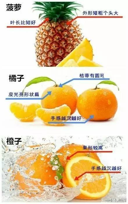 水果网站挑选指南：网购新鲜水果不踩坑的实用技巧