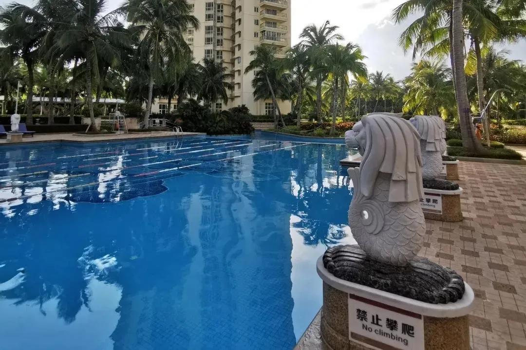 海南网站建设全攻略：从需求分析到案例解析，助您轻松打造专业网站