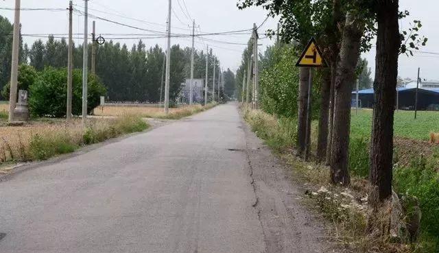 滕州建设网官网入口、招标查询、功能服务全攻略，一站式解决城市建设信息需求