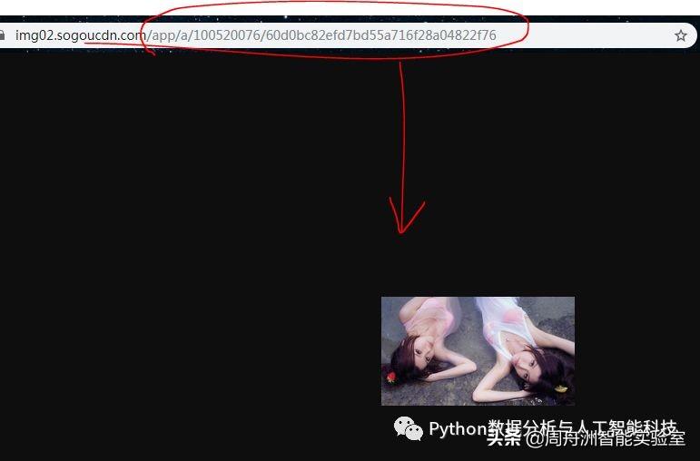 搜索引擎的工作原理全解析：从抓取到排名的完整流程揭秘