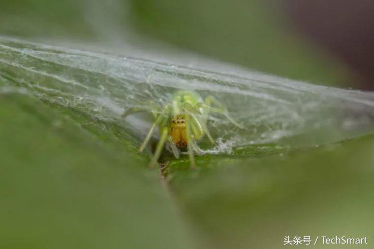 设计网页多少钱？从几百到几万，帮你避开价格陷阱，选对不花冤枉钱